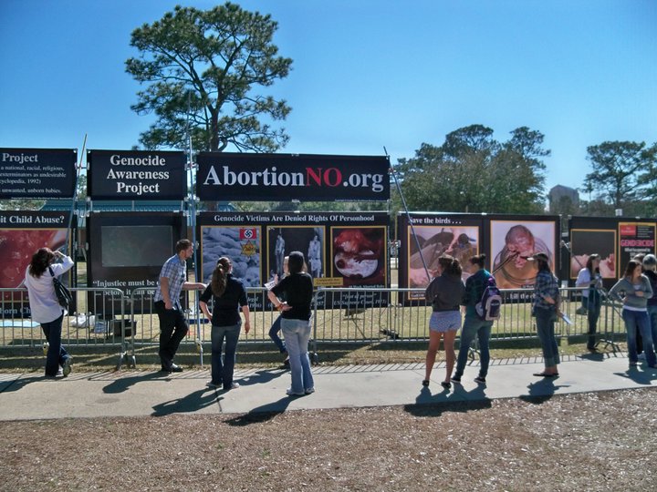 Reaction To Pro Life On Campus At University Of West Florida